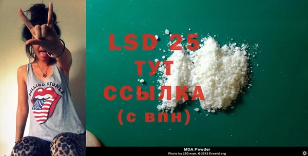 спиды Верея