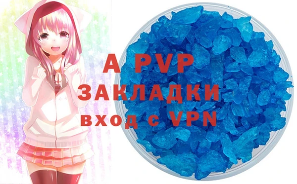спиды Верея